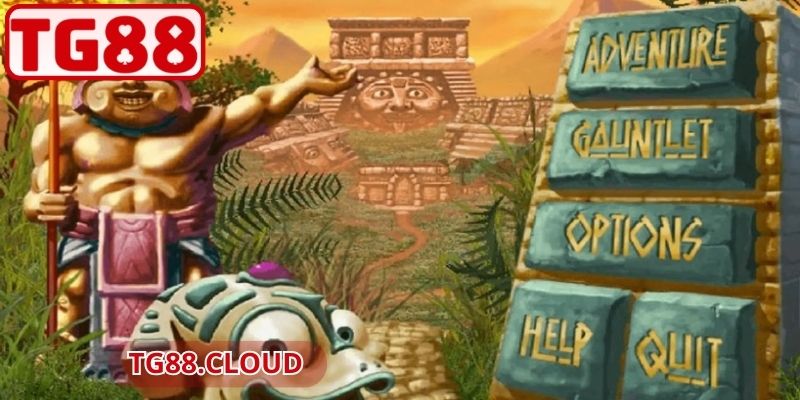 Luật lệ khi tham gia Cóc vàng Zuma TG88