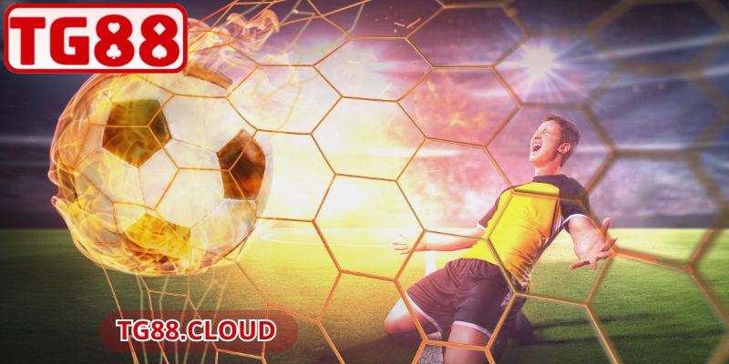 Kèo Chấp Nửa Trái TG88 – Đọc Tỷ Lệ Dễ, Thắng Ổn Định 2 Cách đọc và tính kết quả kèo dễ hiểu cho người mới