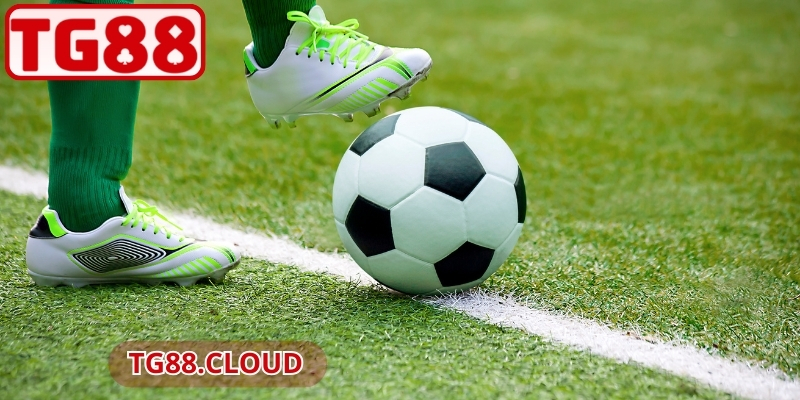 Kèo Hòa Ngoại Trừ TG88 – Dự Đoán An Toàn, Hiệu Quả Cao 2 Toàn bộ cách tính lợi nhuận chuẩn