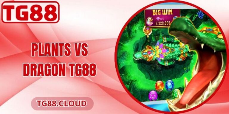 Plants Vs Dragon TG88 - Hành Trình Chinh Phục Rồng 3 Plants Vs Dragon TG88 - Hành Trình Chinh Phục Rồng
