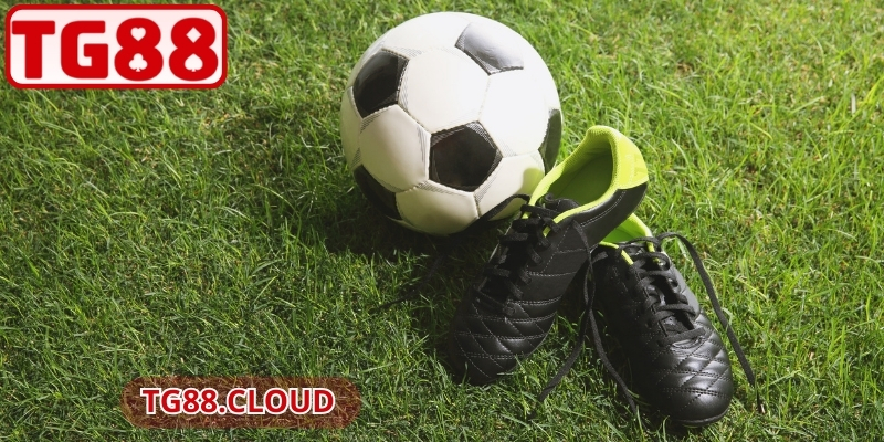 Tài Xỉu 2 Trái TG88 – Cách Tính Và Chiến Thuật Thắng Lớn 3 Chiến thuật giúp người chơi đạt hiệu suất vượt trội