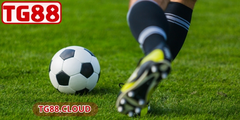 Tỷ Lệ Kèo Malaysia TG88 – Bí Quyết Đặt Cược Hiệu Quả 2 Hiểu cách đọc tỷ lệ giúp bạn tính toán chính xác hơn